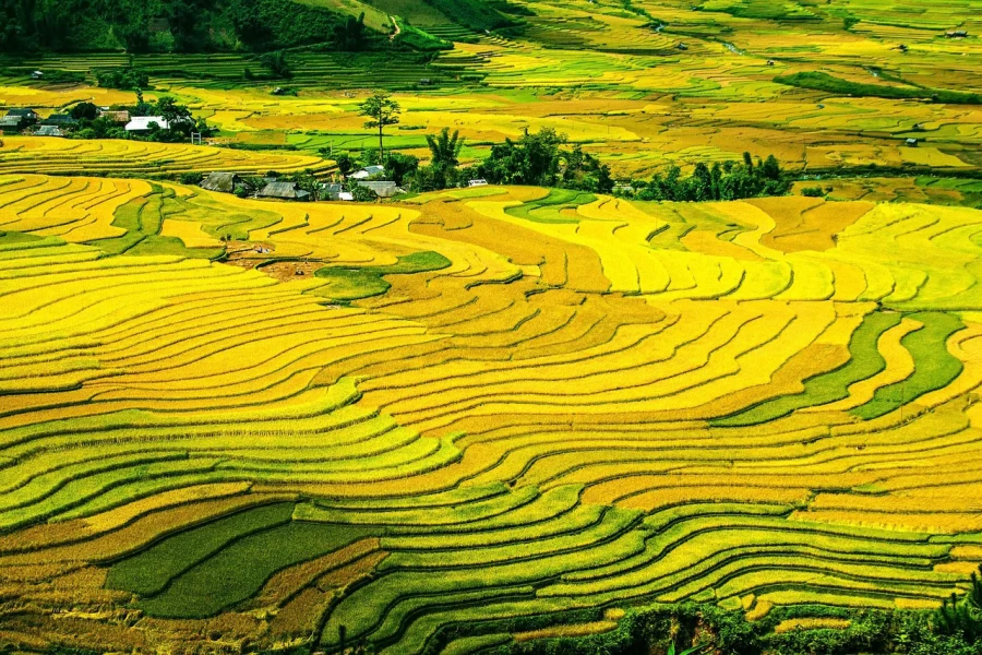 Vietnam Northwest Cycling Adventure Tour 12 Days